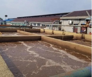出水氨氮大于進(jìn)水氨氮，怎么回事？
