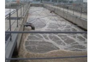 氨氮在廢水生化過(guò)程中是如何被去除的