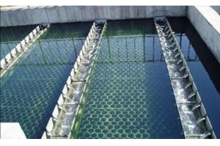 【干貨】生物濾池為什么一受沖擊氨氮去除率就會下降？