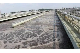 【重要】水中溶解氧越高，處理效果越好么？