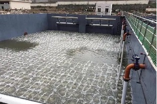 碳源的價格水漲船高，污水廠如何減少碳源投加量來降低成本？