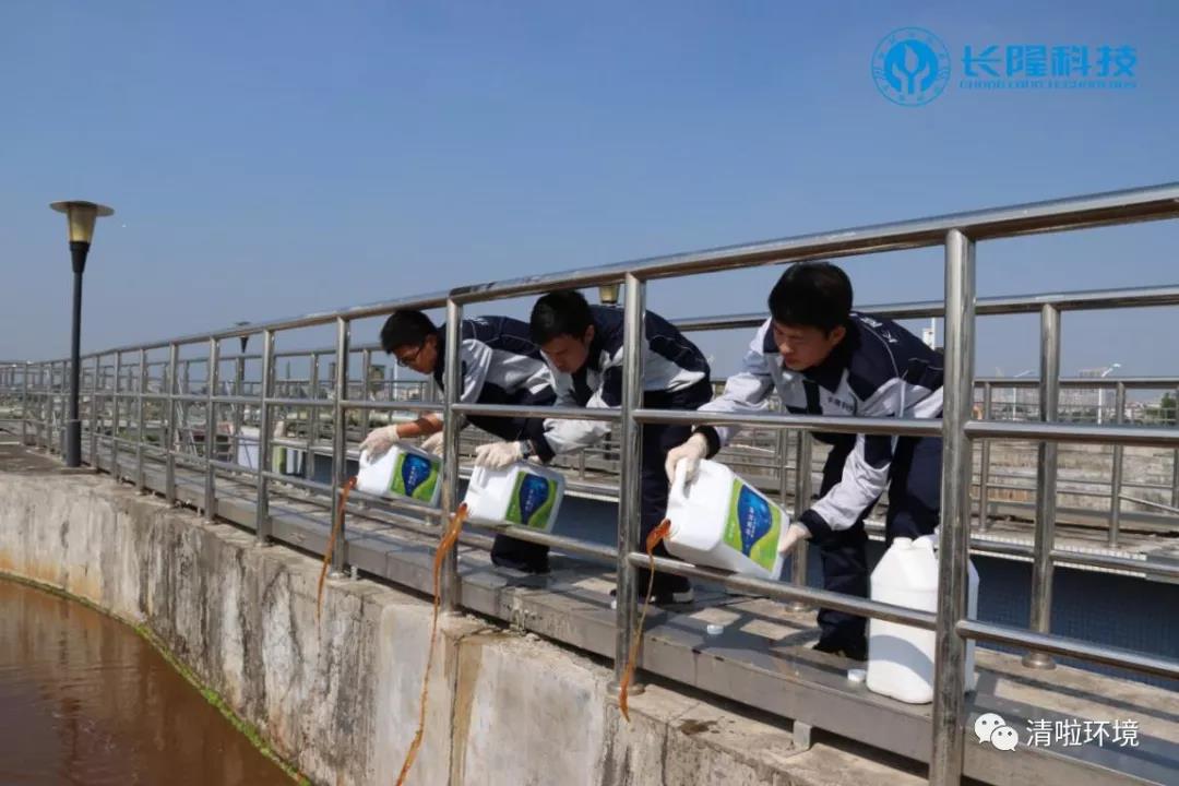 碳氮比失調(diào)，總氮超標怎么辦