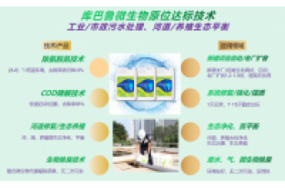 冬季低溫，微生物活性低怎么辦