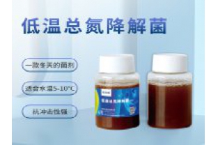 反硝化細(xì)菌在污水處理中的具體應(yīng)用是什么？